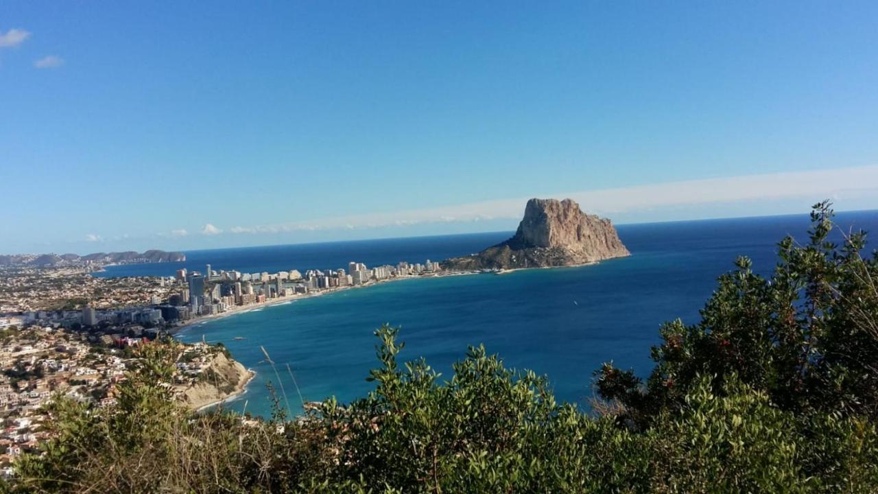 Apartment Bright Sunny Albir